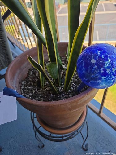 Terracotta Potted Plant with Metal Stand and Blue Glass Garden Globe (1 of 6)