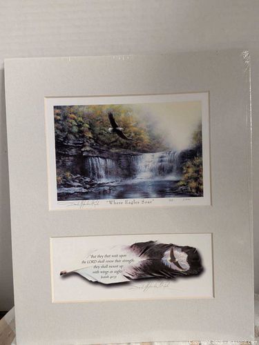 Where Eagles Soar print (1 of 3)