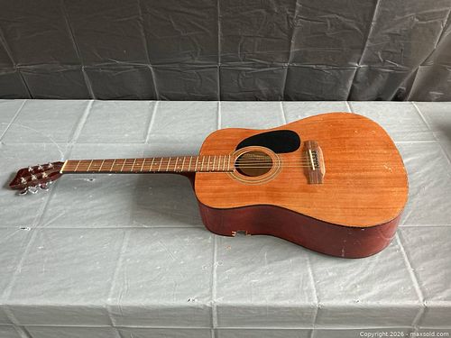 Hohner Acoustic Guitar A (1 of 9)
