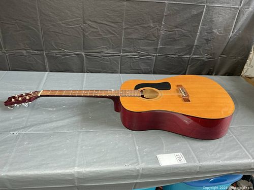 Washburn Acoustic Guitar A (1 of 8)