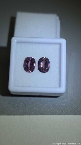 Lot #21 (1 of 13)