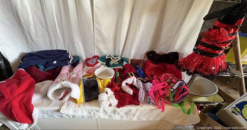 Dog clothes (1 of 5)