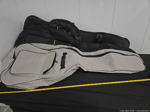 Guitar bags (1 of 3)
