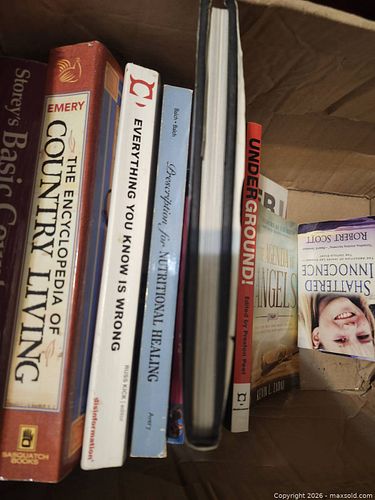 Lot of 11–20 Mixed Paperback & Hardcover Books — Various Genres (1 of 4)