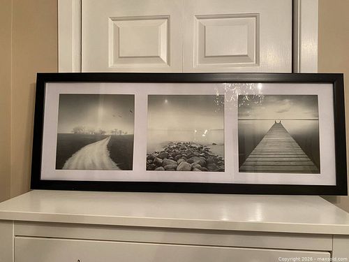 Lot #67 (1 of 5)