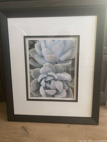 Lot #3 (1 of 3)