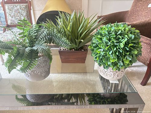 Assorted Artificial Plants  (1 of 4)
