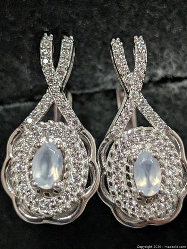 Silver(4.77g)Moonstone Earring  (1 of 3)