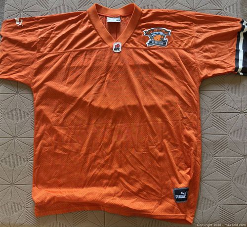 Lot #23 (1 of 3)