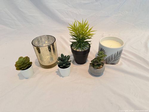 Lot #58 (1 of 6)
