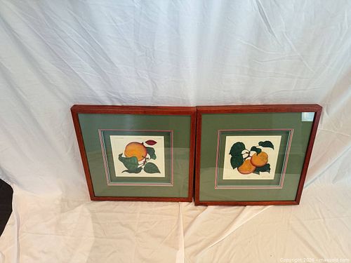 Lot #19 (1 of 9)