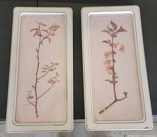 Set of Framed Dried Flower Prints  (1 of 4)