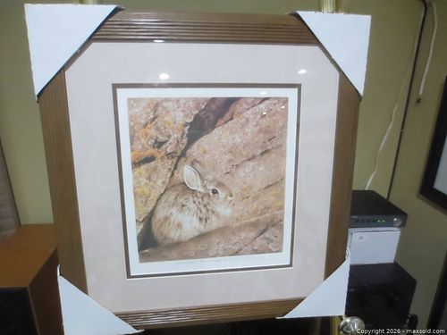 Lot #11 (1 of 3)
