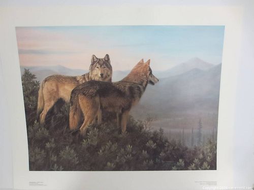 Lot #47 (1 of 3)
