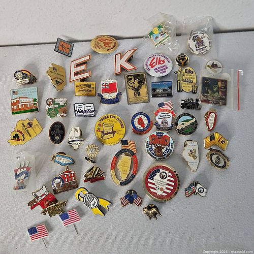 Lot Of Assorted Pins And Brooches (1 of 5)