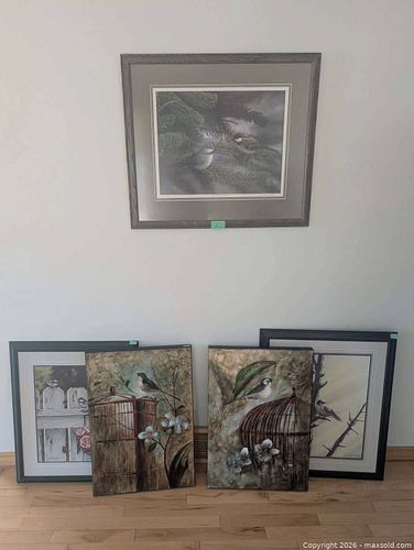 4x Large Framed Bird Prints  (1 of 12)