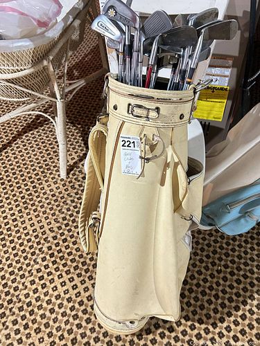 Mixed Brands Golf Club Set with Bag — 9–12 Clubs B (1 of 10)