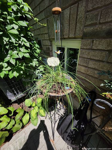 METAL HERB GARDEN STAND (1 of 3)