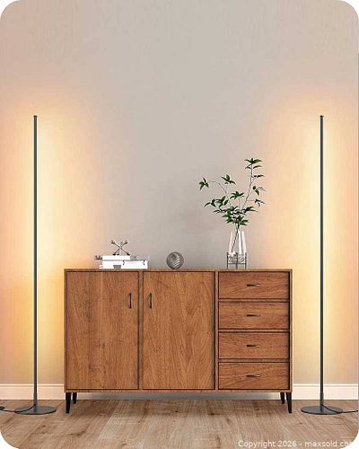 Edishine- 2 x Led Floor lamp Dimmable  (1 of 8)