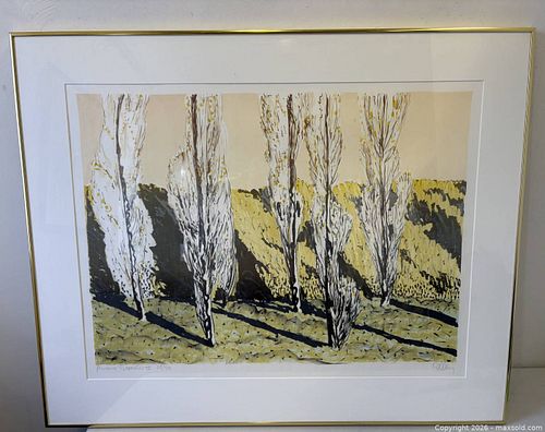 Aurora Borealis lll Framed Screen Print Artist Signed Brian Kelley 28/50 (1 of 15)
