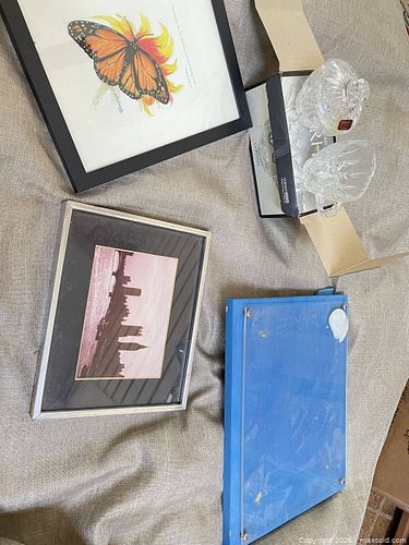 Lot #44 (1 of 12)