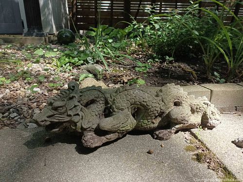 Dragon B (1 of 9)