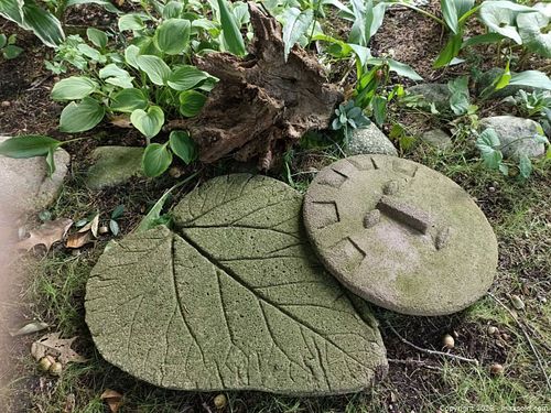 Garden Stones, Driftwood A (1 of 7)