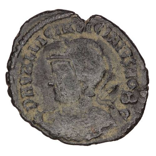 Lot #263 (1 of 2)