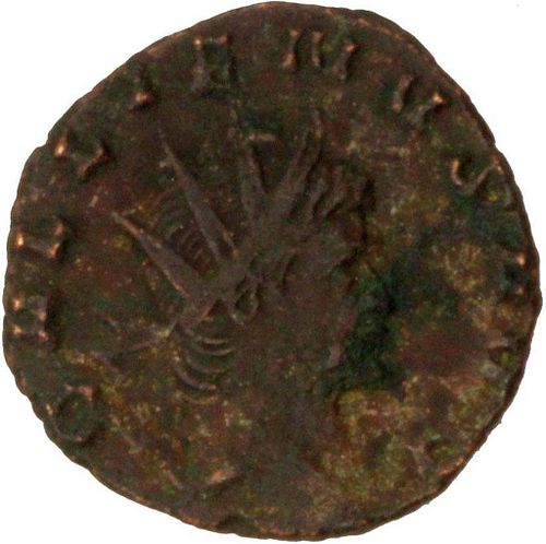 Lot #209 (1 of 3)