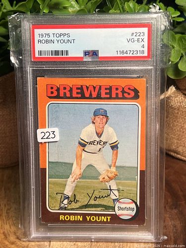 Lot #223 (1 of 2)