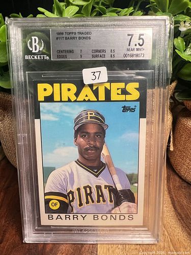 Lot #37 (1 of 2)