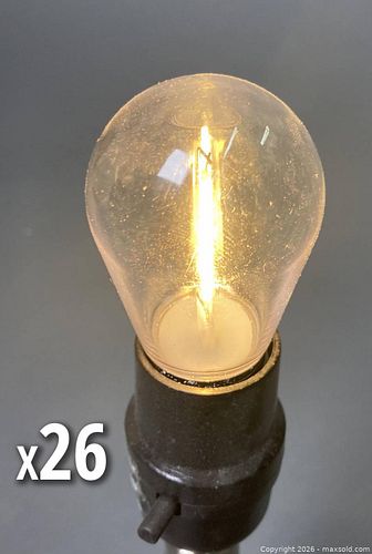 NEW - 26 Pack 1W LED Replacement Bulbs For Outdoor Patio String Lights – 2700K Warm White (1 of 6)