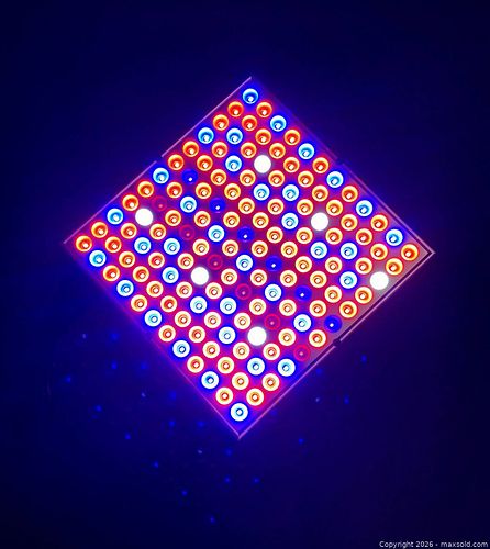 NEW - 45w (450w Equivalent) LED Grow Plant Light Panel (FULL SPECTRUM)  (1 of 5)