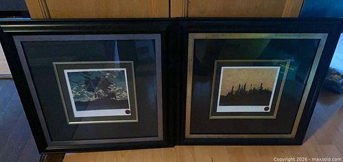 Lot #81 (1 of 9)