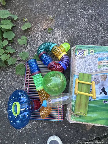 Lot #68 (1 of 4)
