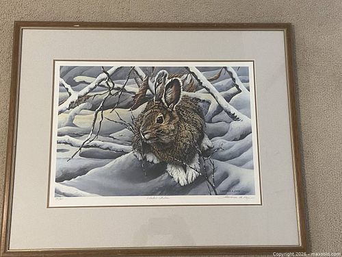 Lot #19 (1 of 3)