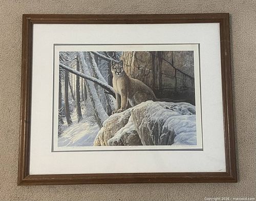 Lot #25 (1 of 3)