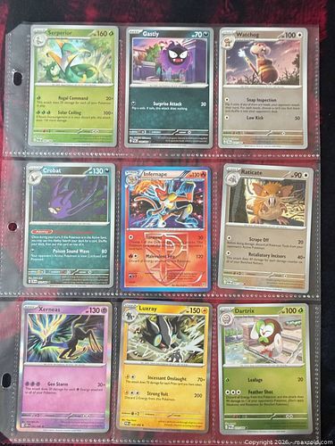 Lot #33 (1 of 11)