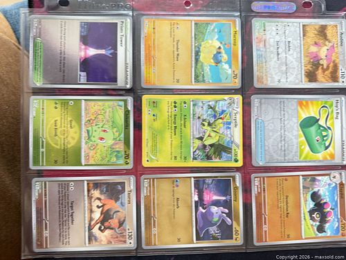 Lot #24 (1 of 11)