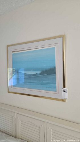 Lot #829 (1 of 9)