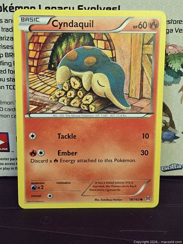Lot #41 (1 of 3)