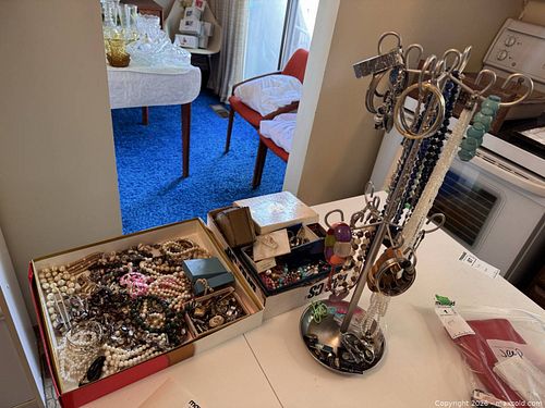 Large Assorted Costume Jewelry Lot (1 of 16)