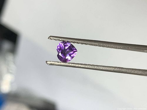 Lot #13 (1 of 6)
