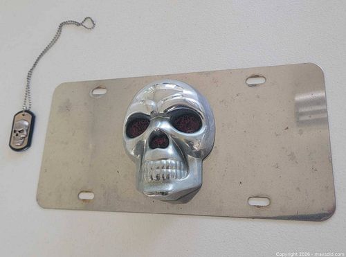 3-D Skull License Plate & Dog Tag (1 of 3)