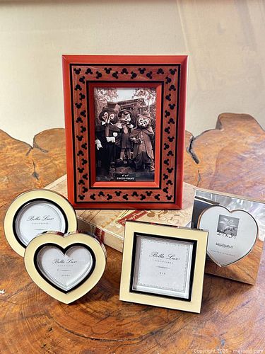 5 Picture Frames- Disney Parks, Bella Luxe & Aaron brothers  (1 of 5)