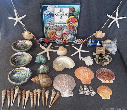 Collection of Seashells, Starfishes, & Coastal Decor  (1 of 18)