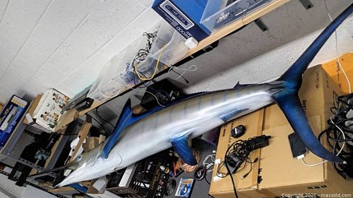 9ft long resin wall mountin marlin  (1 of 8)