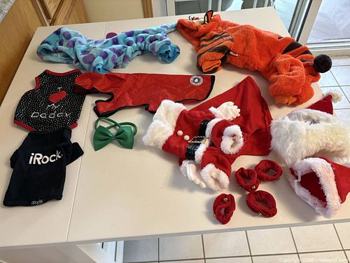 Small dog clothes/costumes (1 of 15)