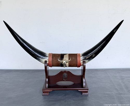 Vintage Table Top Decorative Steer Cow Bull Horns on Wooden Stand  (1 of 5)