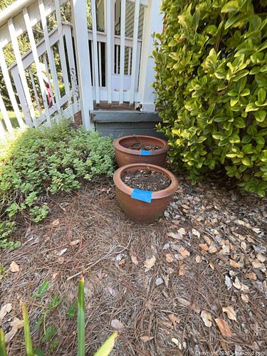 Pair of Terracotta Garden Planters (Medium & Large) (1 of 8)